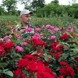 Шрабы: Поль Нерон и Хансаланд.